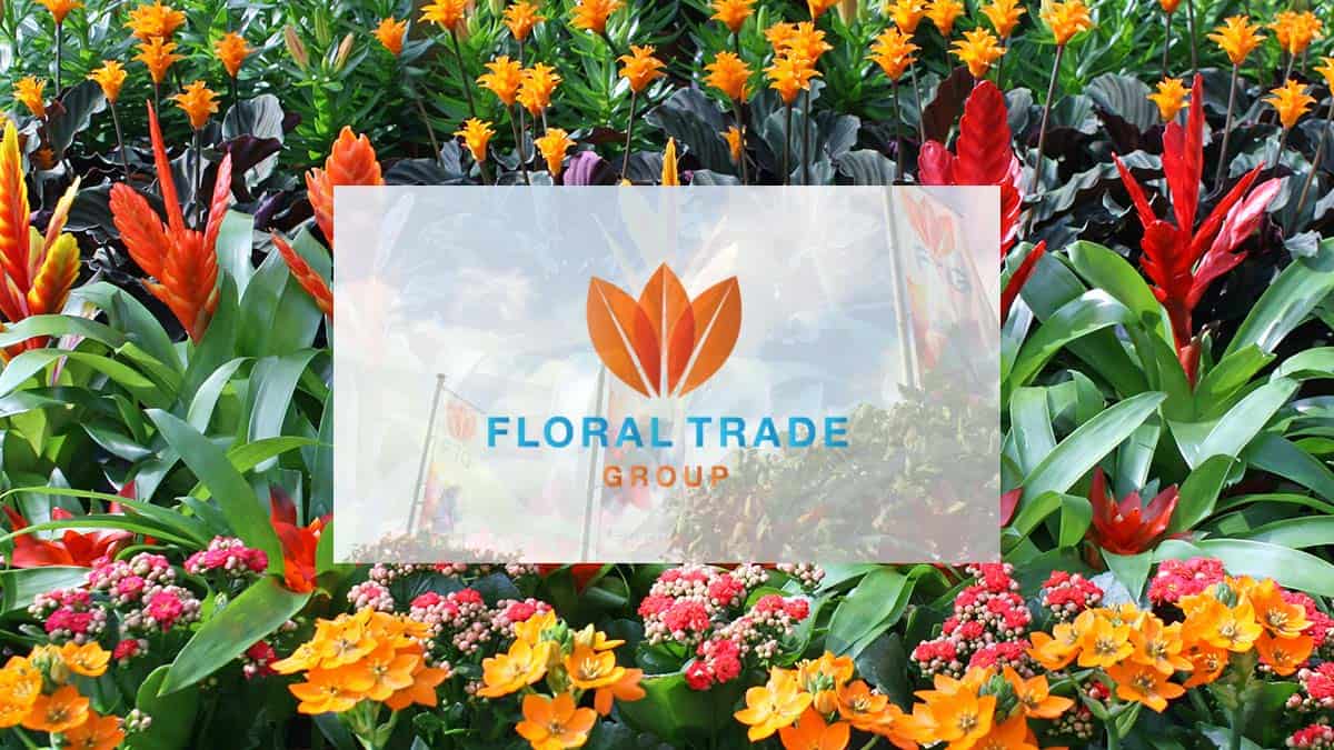 Floral-trade-group-MTO